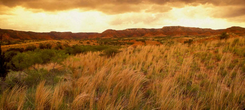 Caprock Canyons State Park and Trailways