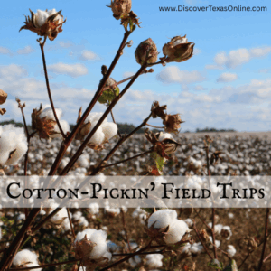 Cotton-pickin’ Field Trips