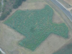 Texas is a-MAZE-ing at Sweet Berry Farm