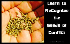 Learn to Spot the Seeds of Conflict