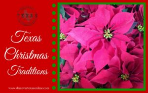 Texas Christmas Traditions – Poinsettias