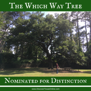 Which Way Tree Nominated for Distinction