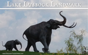 Lake Lubbock Landmark