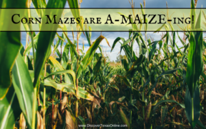 Corn Mazes are A-MAIZE-ing!